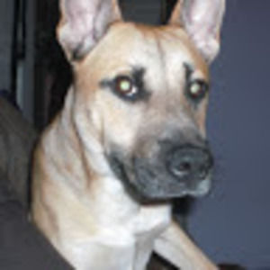 Meet your Posher, Eli